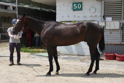 ���ϵ�巡�� ����