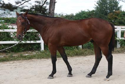 ���̹̽��͸� ����