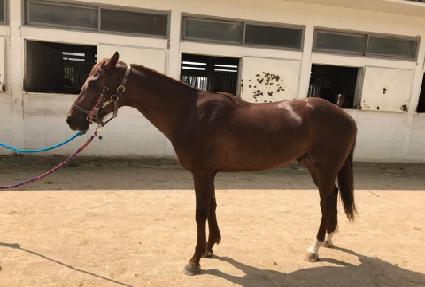 �ְ��Ҹ� ����