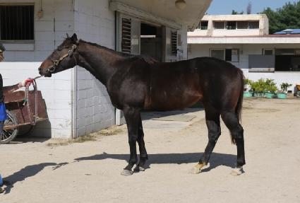 �����̵��� ����