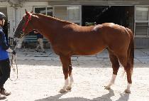 �����Ǿ�ħ (GANGSANUI ACHIM) ����