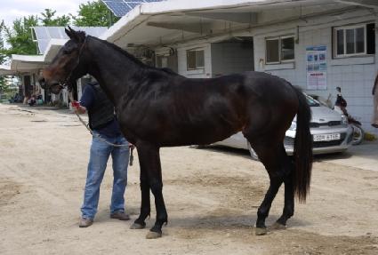 ��õ����� ����