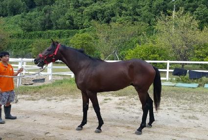 õ�չٶ��Ҹ� ����