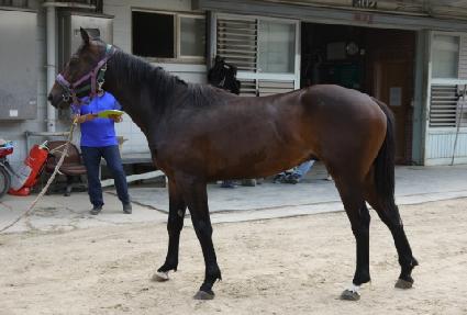 ��ī ����