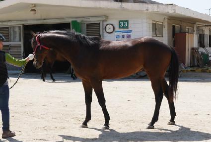 �����Ӵ� ����