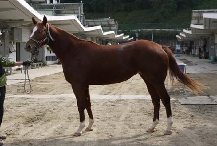 �þ�Ʋ�� ����