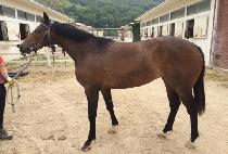 �����̸��� (B.K. MARINE) ����