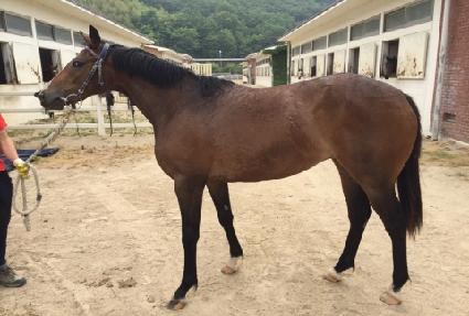 �����̸��� ����