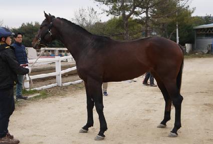 ��󺸱ݼ� ����