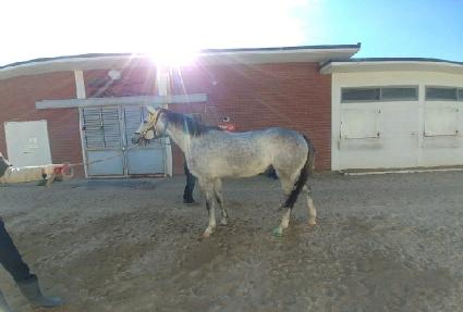 ������ ����