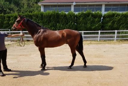 �����ٸ� ����