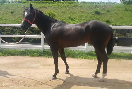 �������� ����