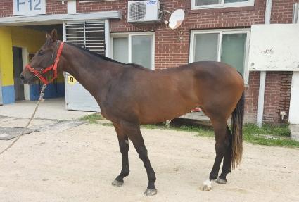 �̴̽��� ����