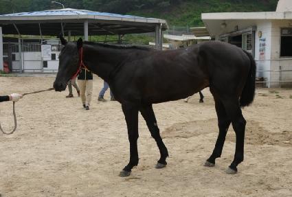 ��ȣ����ƮĹ ����