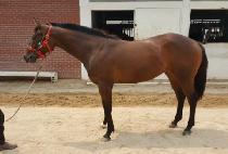 Ÿ���� (TIME QUEEN) ����