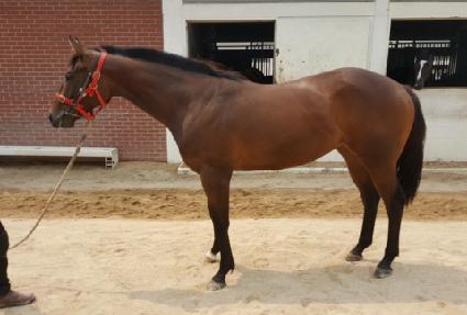 Ÿ���� ����