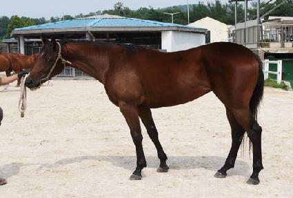 ��ī�̸��� ����