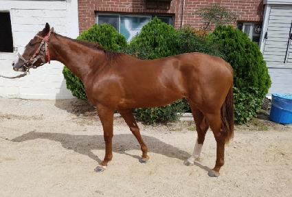 ���̽�Ÿ ����