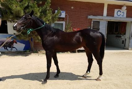 ������Ŀ� ����