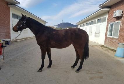 �¾������� ����