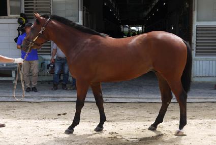 õ���� ����