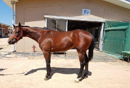 ���۸��� ����