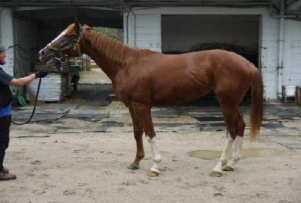 �Ӵ����� ����