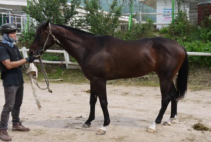 ���̺񿡽��� ����