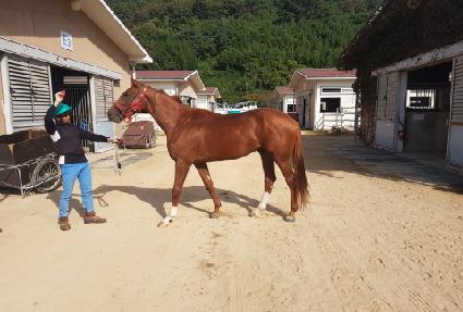 �������� ����