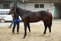 õ������ (CHEONHA HYEONGGUK) ����