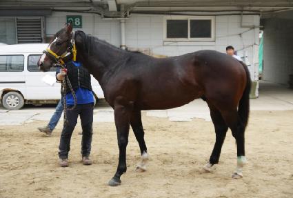 õ������ ����