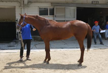 ������ȭ ����