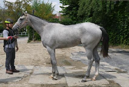 �޸�ȭ��Ʈ ����