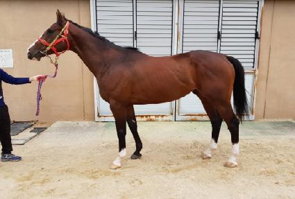 �������� ����