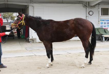 ���� ����