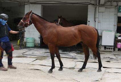 ������ ����