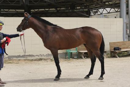 �̽�Ʈŷ�� ����