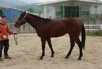 �¸�����ũ (SEUNGRI LIKE) ����