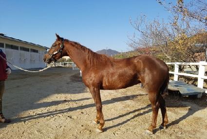 �Ѱ��̼� ����