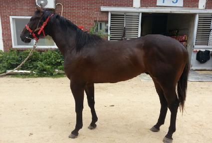 ����� ����