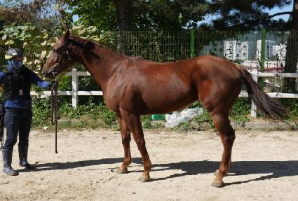 �������� ����