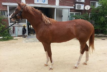 ��ݵ��� ����