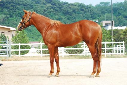 ���������丶 ����