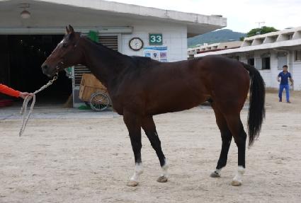 ����ǳ ����