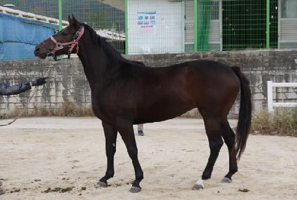 ���ϱ� ����