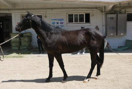 ����Ʈ���丮 ����