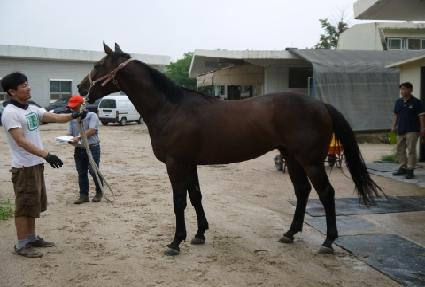 ����Ʈ�Ҹ� ����