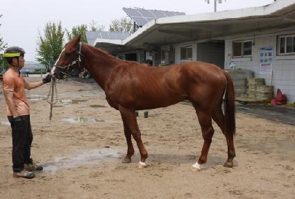 ����Ʈ���� ����