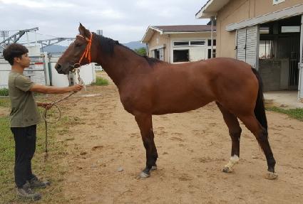 �̶�Ŭ�ٸ��� ����