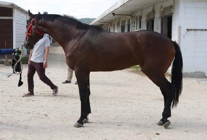 ���� ����